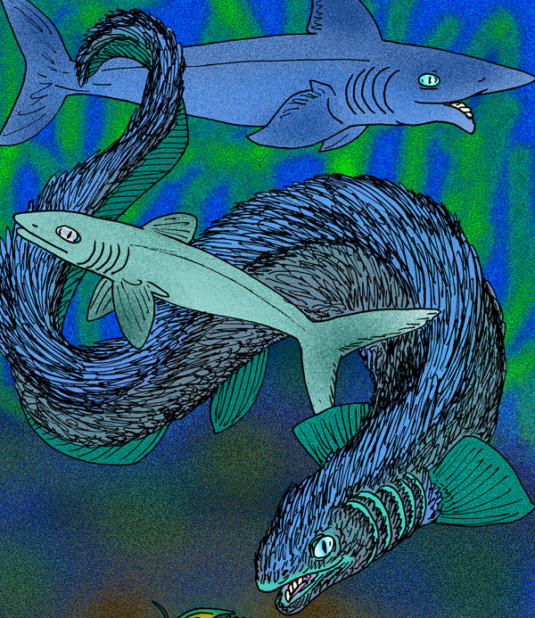 listracanthus_hystrix