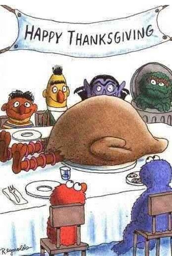 thanksgiving-bird
