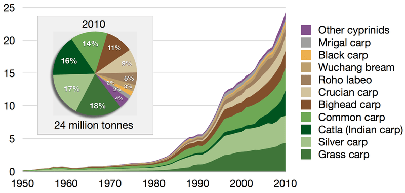800px-cyprinids_aquaculture_production