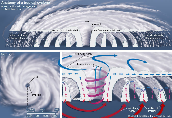 hurricane-cross-section
