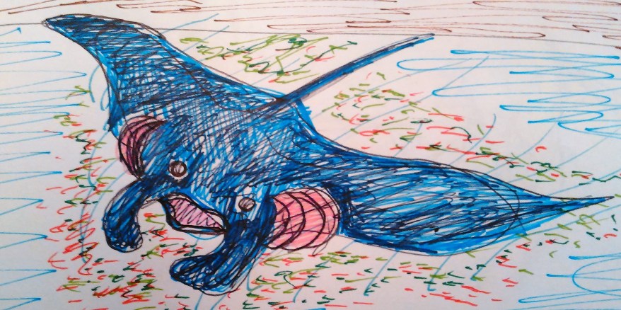 Manta Ray