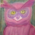 Magenta Owl –&nbsp;11×14