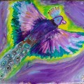 Peacock in Flight –&nbsp;11×14
